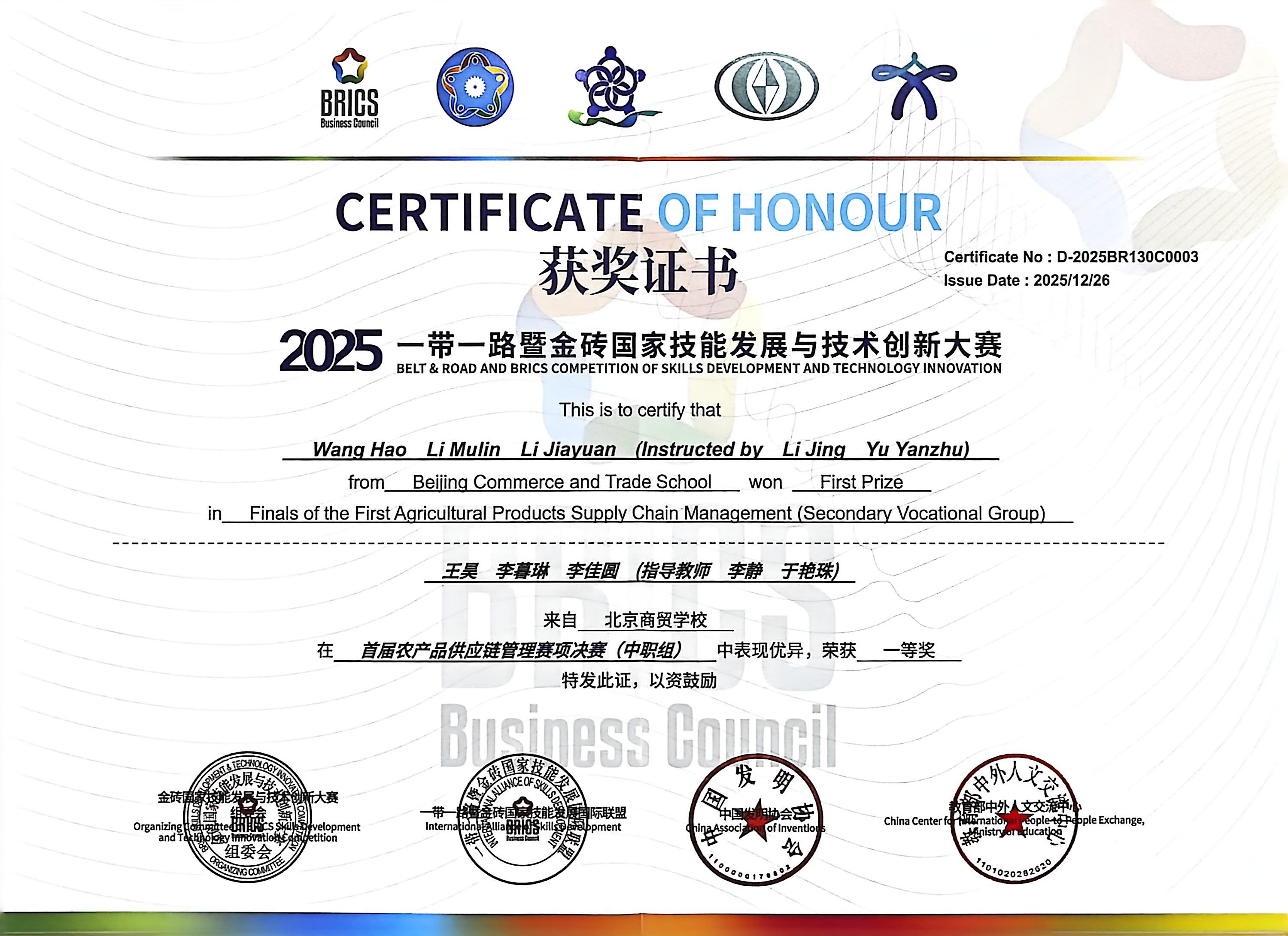 金砖决赛一等奖